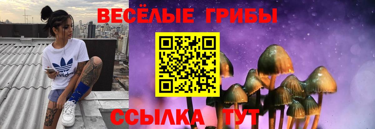 Псилоцибиновые грибы Psilocybine cubensis Фрязино